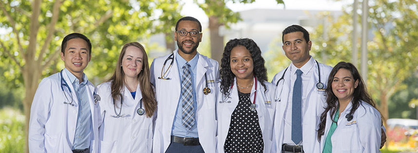 Group of Medical Professionals