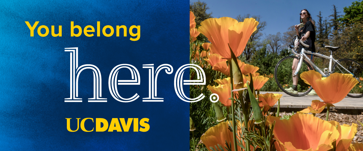 You belong here text against a blue backdrop next to golden poppies and a girl walking her bike on campus.